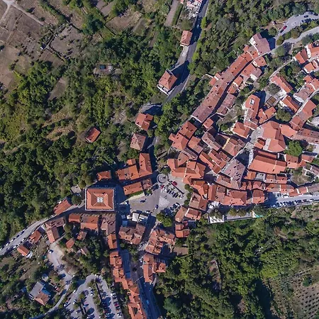 In Luka With Wifi